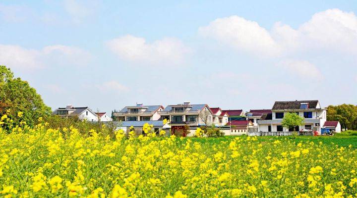 河南焦作市發(fā)文推進農(nóng)村人居環(huán)境整治、農(nóng)村污水治理、黑臭水體治理
